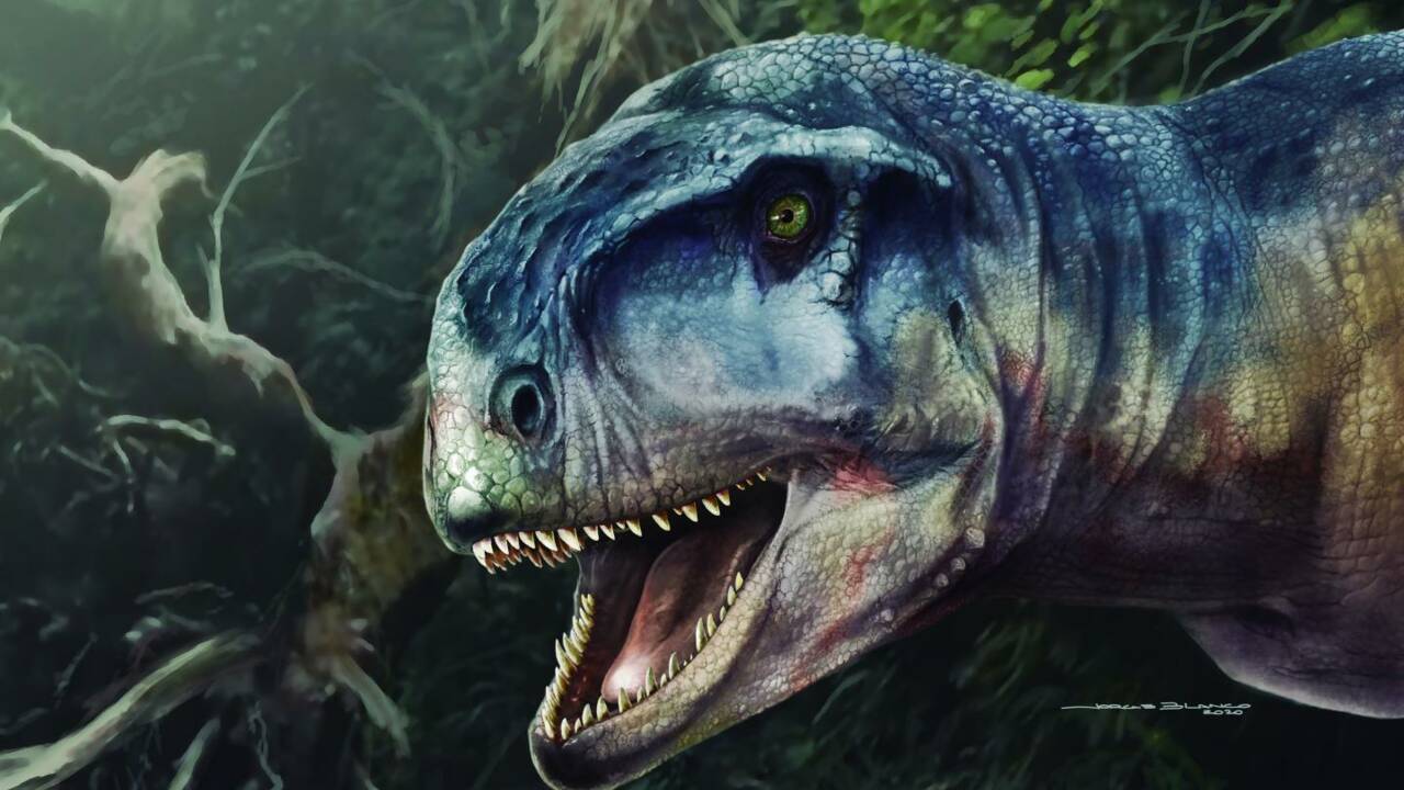Llukalkan, ce dinosaure qui "semait la peur" il y a 80 millions d'années en Patagonie