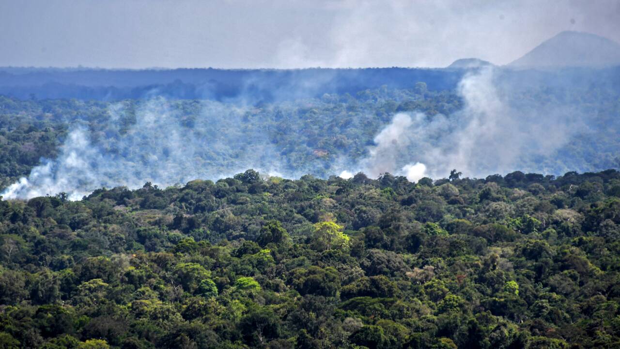 Brésil: les incendies au plus haut déjà en juin, avant la saison sèche