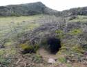 Des lapins déterrent des objets vieux de milliers d'années sur une île galloise