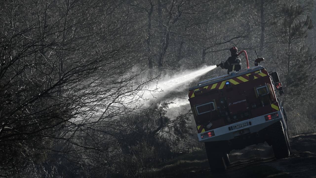 Gironde: feu de forêt maîtrisé, environ 300 hectares de pins détruits