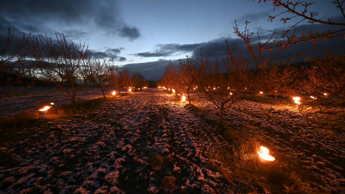 En Alsace, des "bougies" pour préserver les vergers du gel
