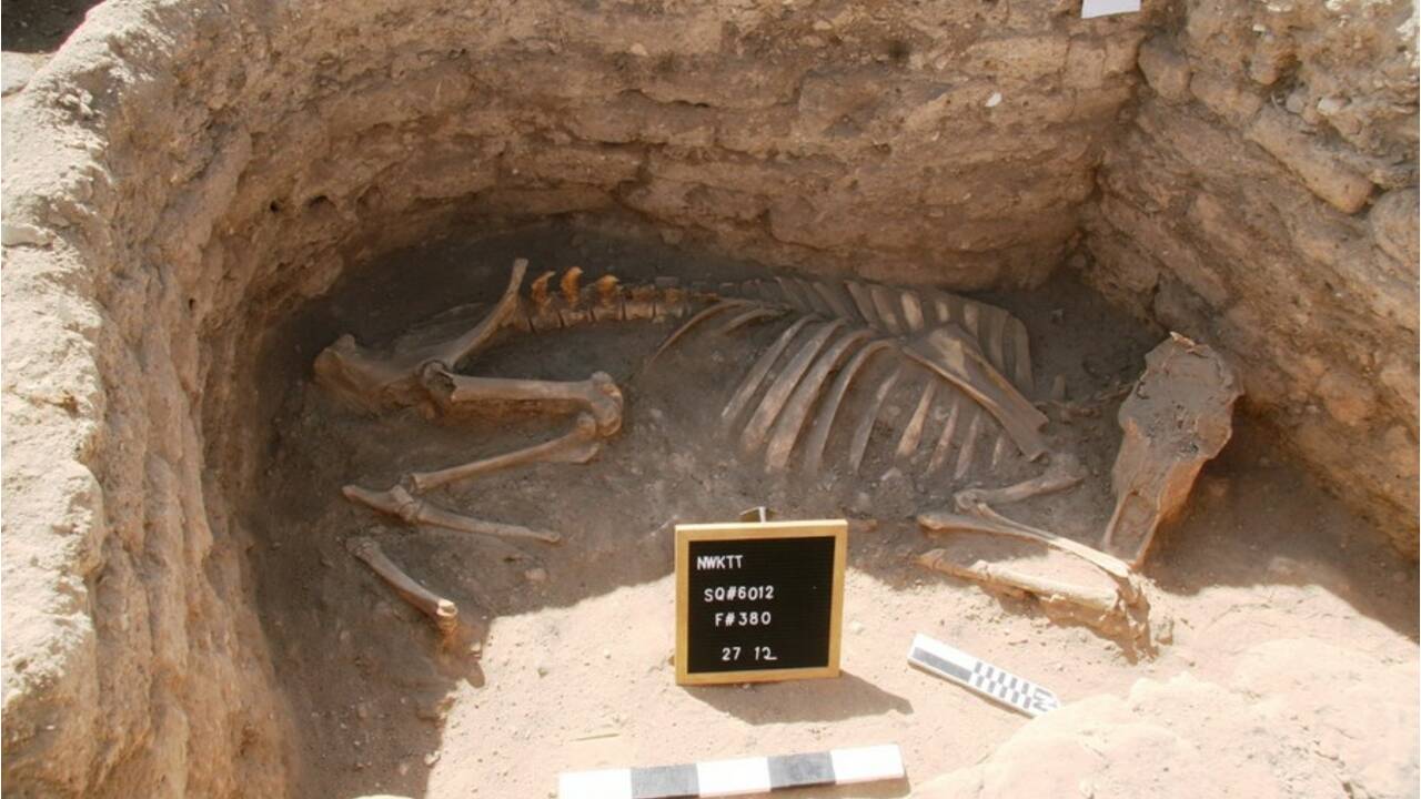 Egypte : découverte d'une "Cité d'or perdue" vieille de 3 000 ans 