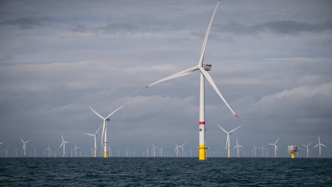Projet de parc éolien en mer du Nord: six partis "exigent" un référendum local