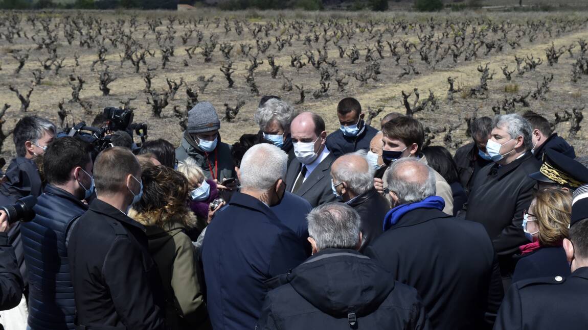 Vignes et vergers ravagés par le gel: Castex annonce un milliard d'euros d'aides