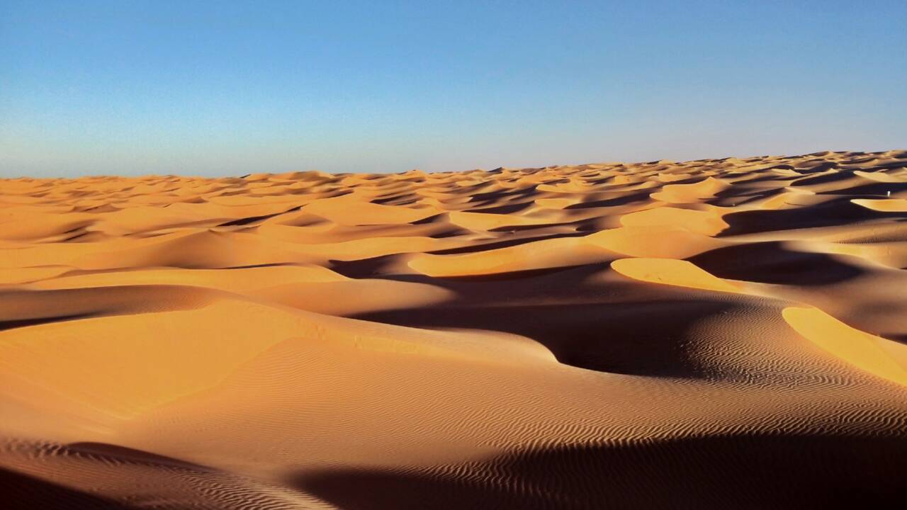 Comment le sable du Sahara fertilise la forêt amazonienne