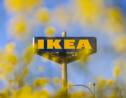 La Fondation Ikea promet un milliard d'euros en faveur du climat