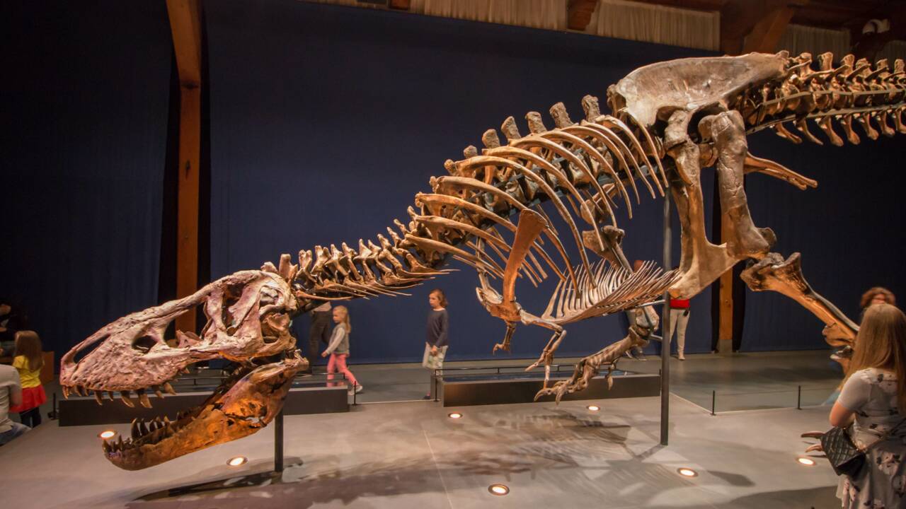 Les T. rex ne se déplaçaient pas aussi vite qu'on ne pensait, la preuve en 3D