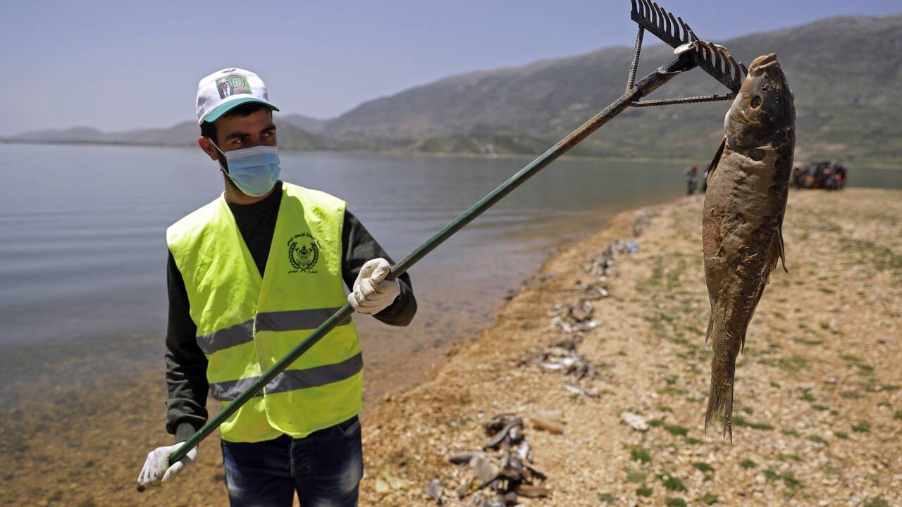 Au Liban, des tonnes de poissons morts dans un lac pollué