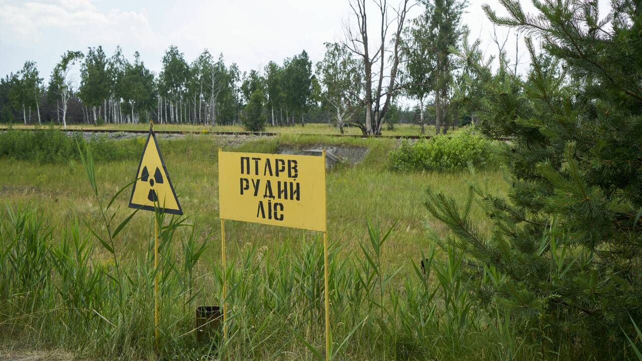 Des scientifiques fabriquent de la vodka à partir de fruits cultivés autour de Tchernobyl