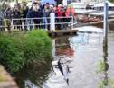 Londres : un baleineau de plus de 3 mètres s'égare dans une écluse de la Tamise
