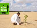 Podcast GEO : une semaine dans l’oasis de Siwa, paradis vert au milieu du Sahara 