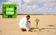 GEO podcast: a week in the oasis Siwa, a green paradise in the middle of the Sahara