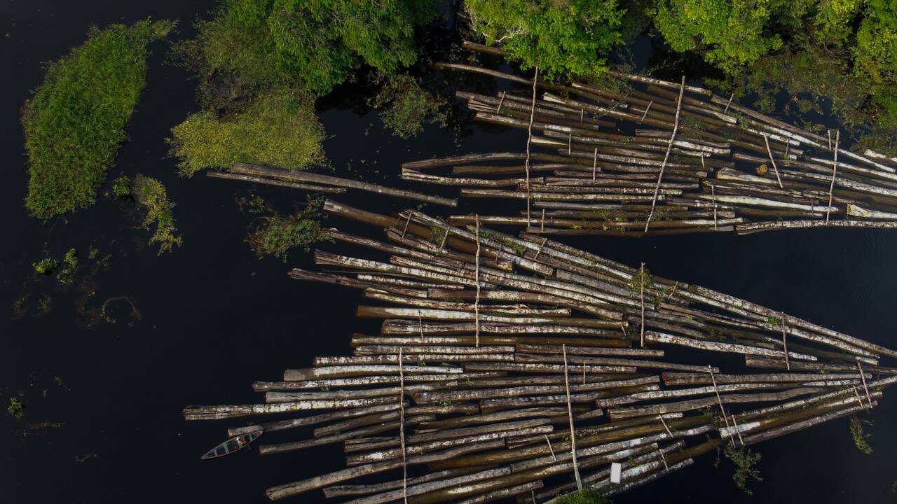 Brésil : le ministre de l'Environnement soupçonné de favoriser le trafic de bois