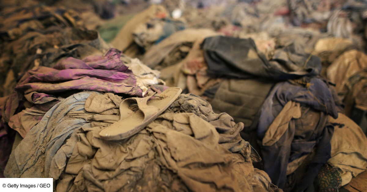 En Quelle Année A Eu Lieu Le Genocide Rwandais