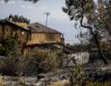 Grèce: les pompiers luttent encore contre l'incendie de Geraneia, "catastrophe écologique"
