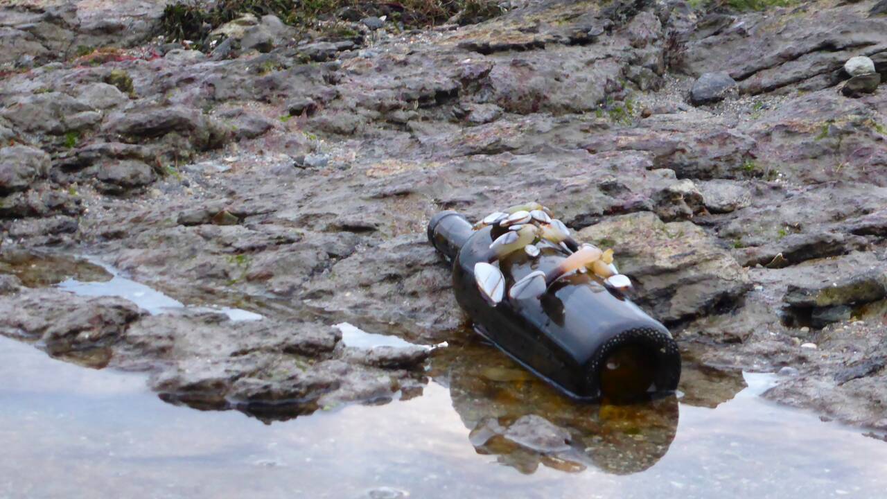 Morbihan : aidez ces Bretons à retrouver qui a jeté cette bouteille à la mer découverte sur la plage de Penvins
