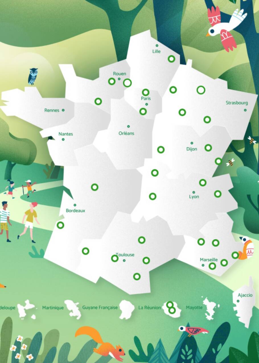 30 forêts exceptionnelles à découvrir en France cet été selon l'ONF 