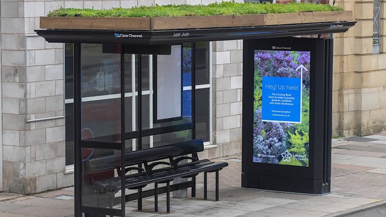 Au Royaume-Uni, cette ville végétalise les toits de ses arrêts de bus pour aider les abeilles