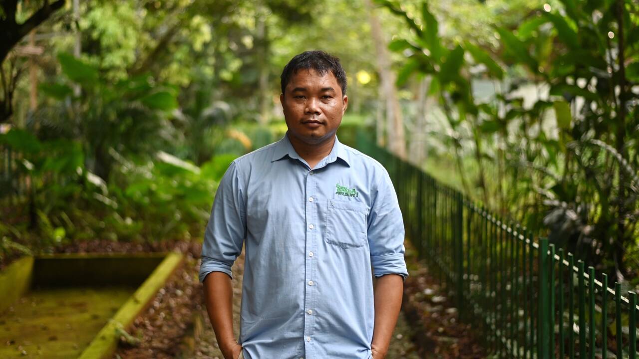 Vietnam : un défenseur des pangolins reçoit le "Nobel vert"