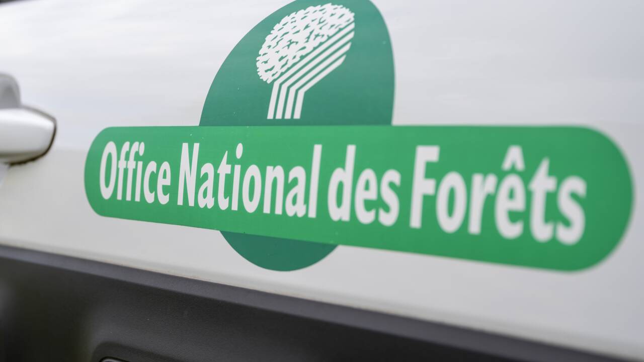 L'Office national des forêts va supprimer près de 500 postes en cinq ans