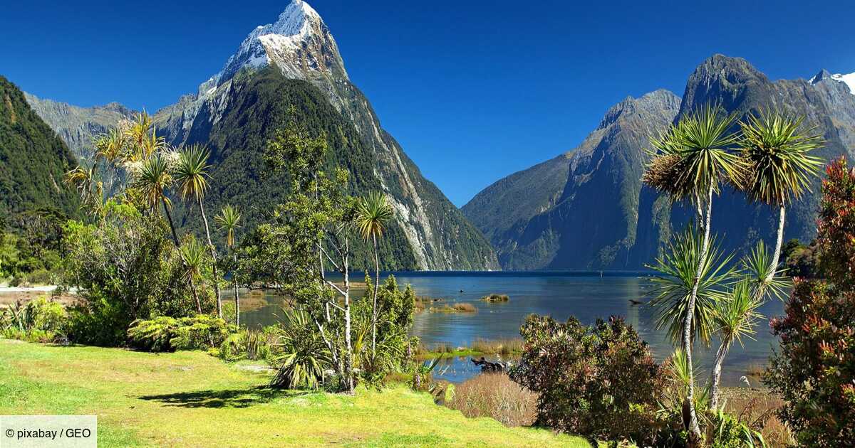 Voyager en Nouvelle-Zélande : le pays ne rouvrira pas ses portes avant fin  avril 2022 - Geo.fr