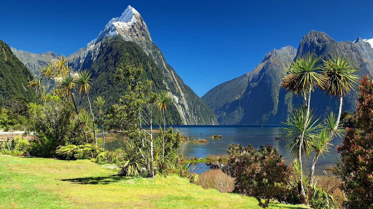 5 things you didn’t know about New Zealand