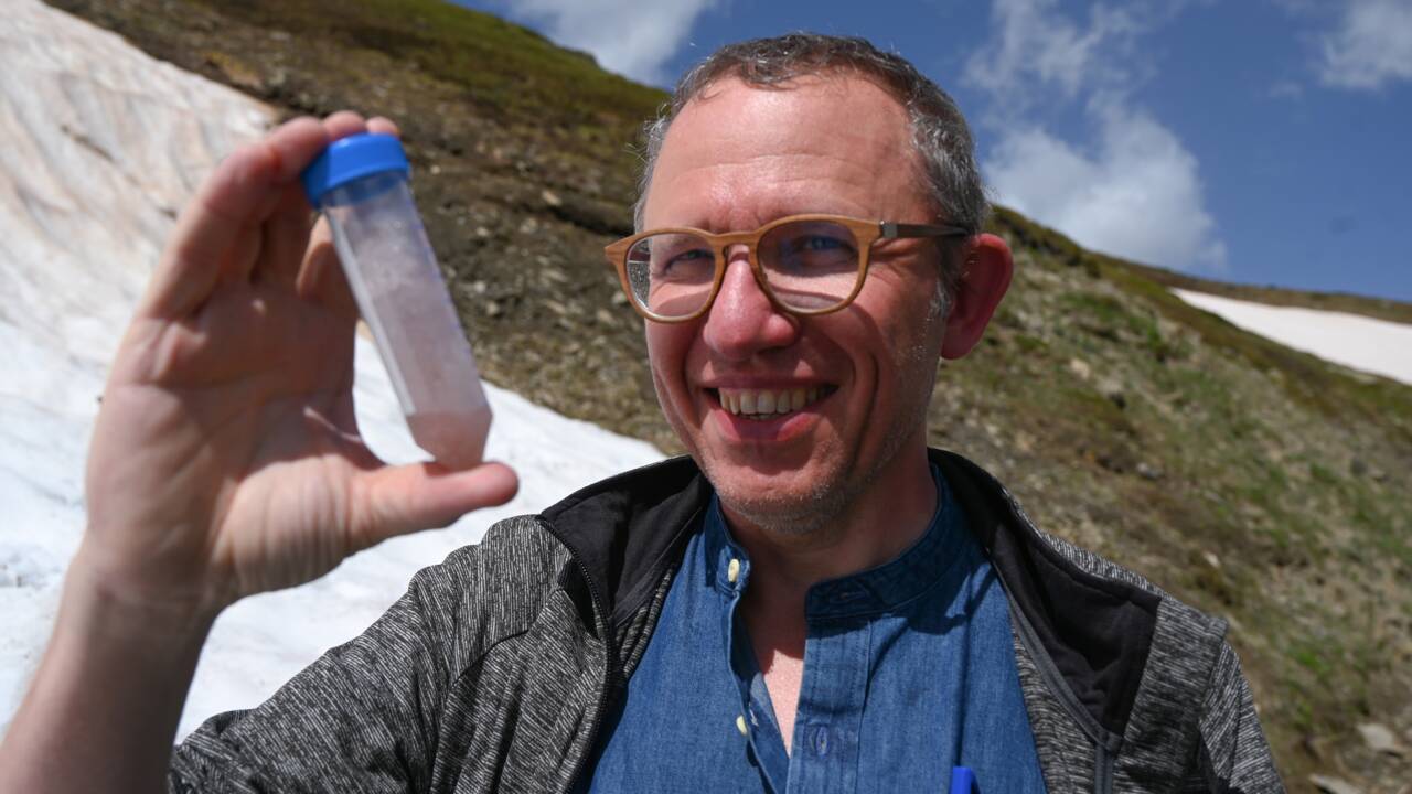 Dans les Alpes, des scientifiques tentent de percer le mystère du "sang des glaciers"