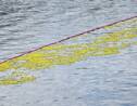 Un lâcher de canards en plastique provoque l'agacement des pêcheurs dans l’Oise