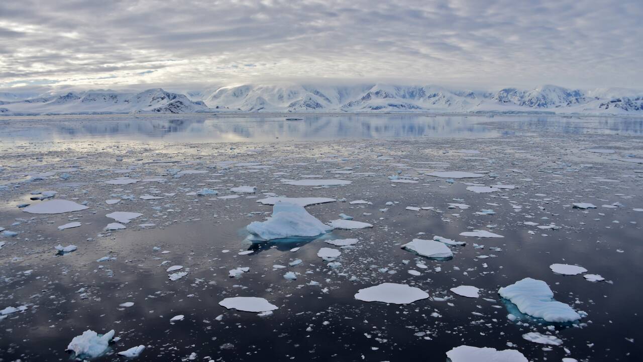 Record de chaleur sur l'Antarctique de 18,3 degrés Celsius le 6 février 2020