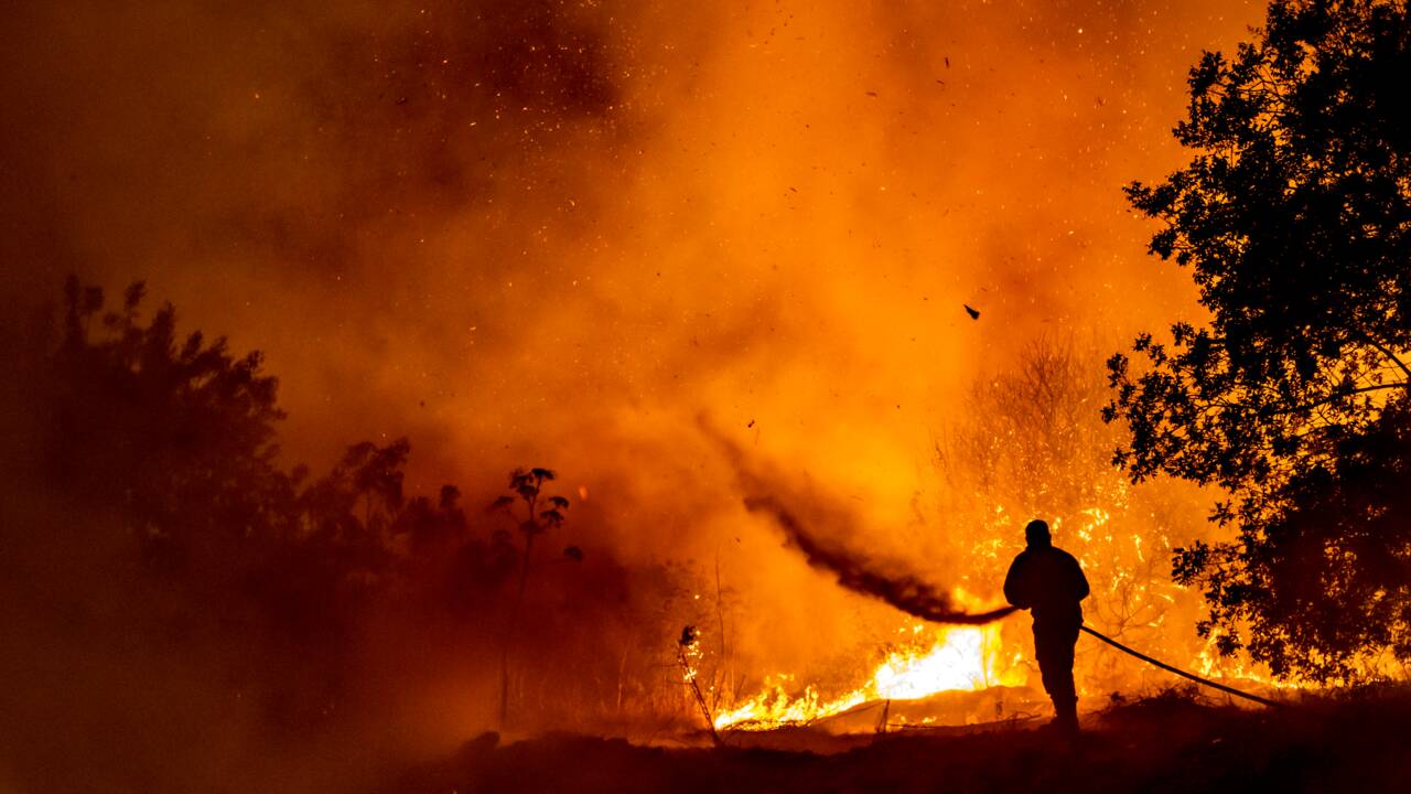 Le pire incendie à Chypre maîtrisé après deux jours de lutte contre les flammes