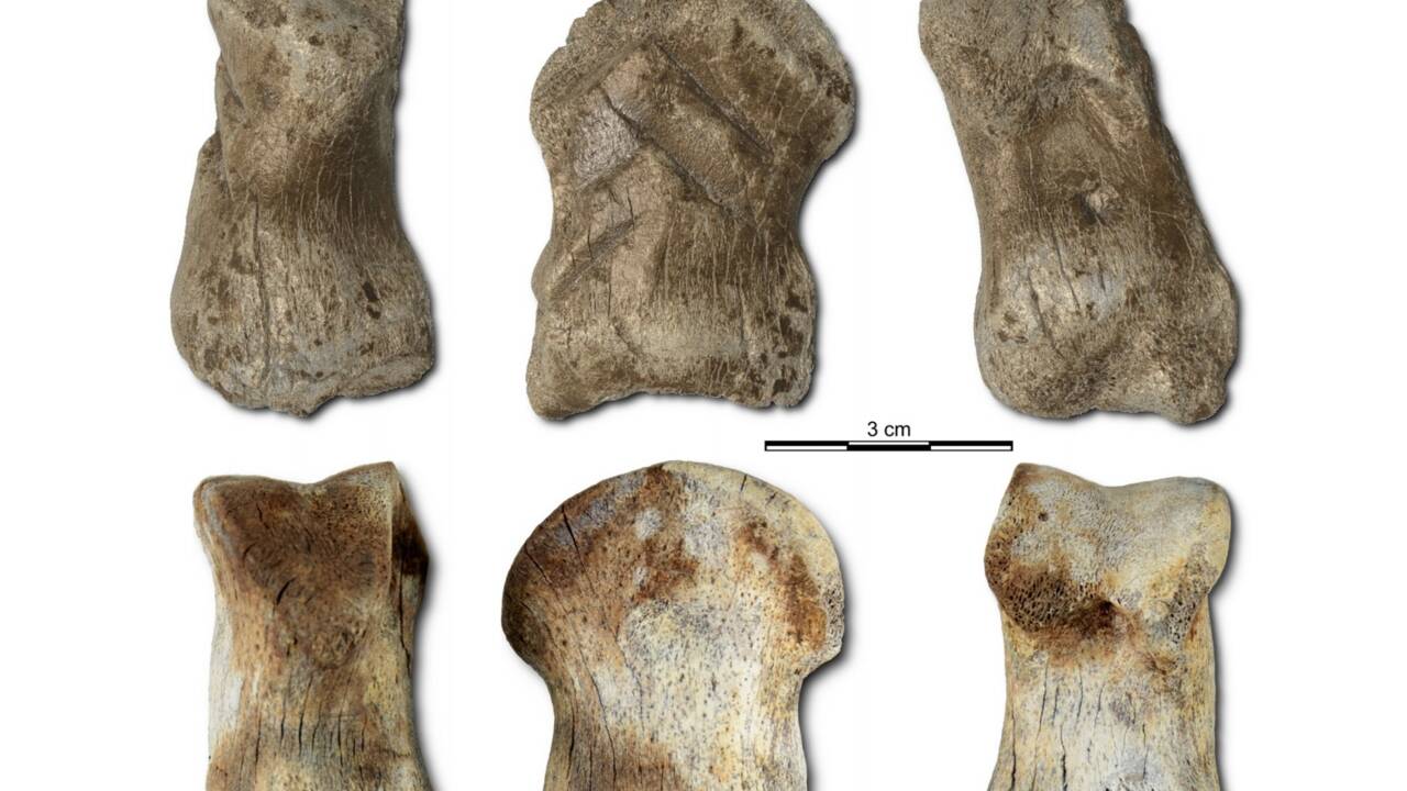 Une découverte dans la  "Grotte de la licorne" montre que Néandertal était une espèce "créative"