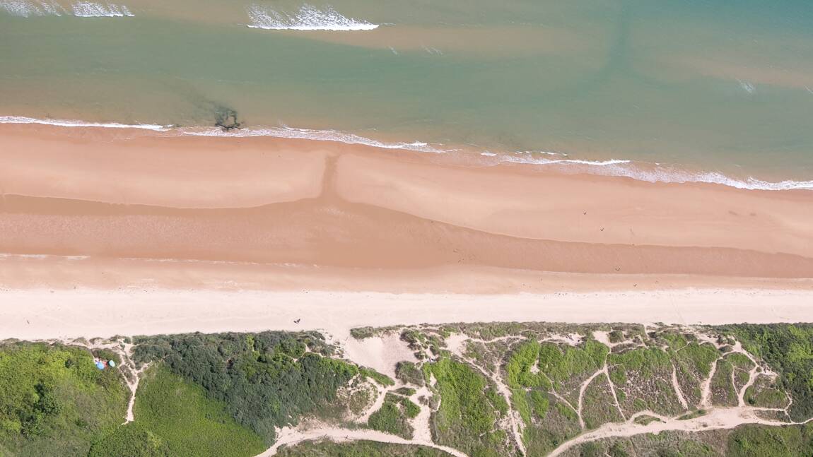 "La plage est l'un des écosystèmes les plus riches et l'un des milieux les plus rudes de la planète"