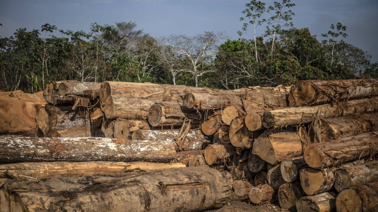 Les satellites comme moyen de lutte contre la déforestation pour les populations indigènes