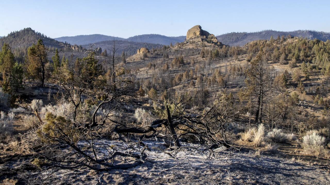Chaleur, sécheresse, foudre et donc incendies: l'Ouest américain s'attend au pire