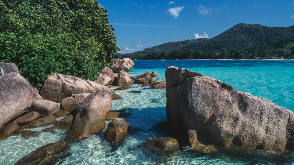 Îles Seychelles : notre sélection pour des vacances inoubliables