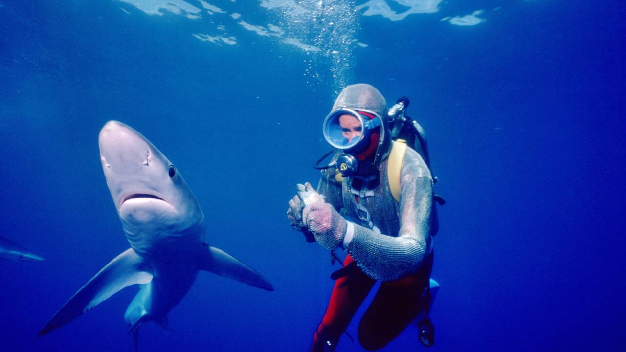 Valerie Taylor, la spécialiste des requins qui a inspiré Les dents de la mer