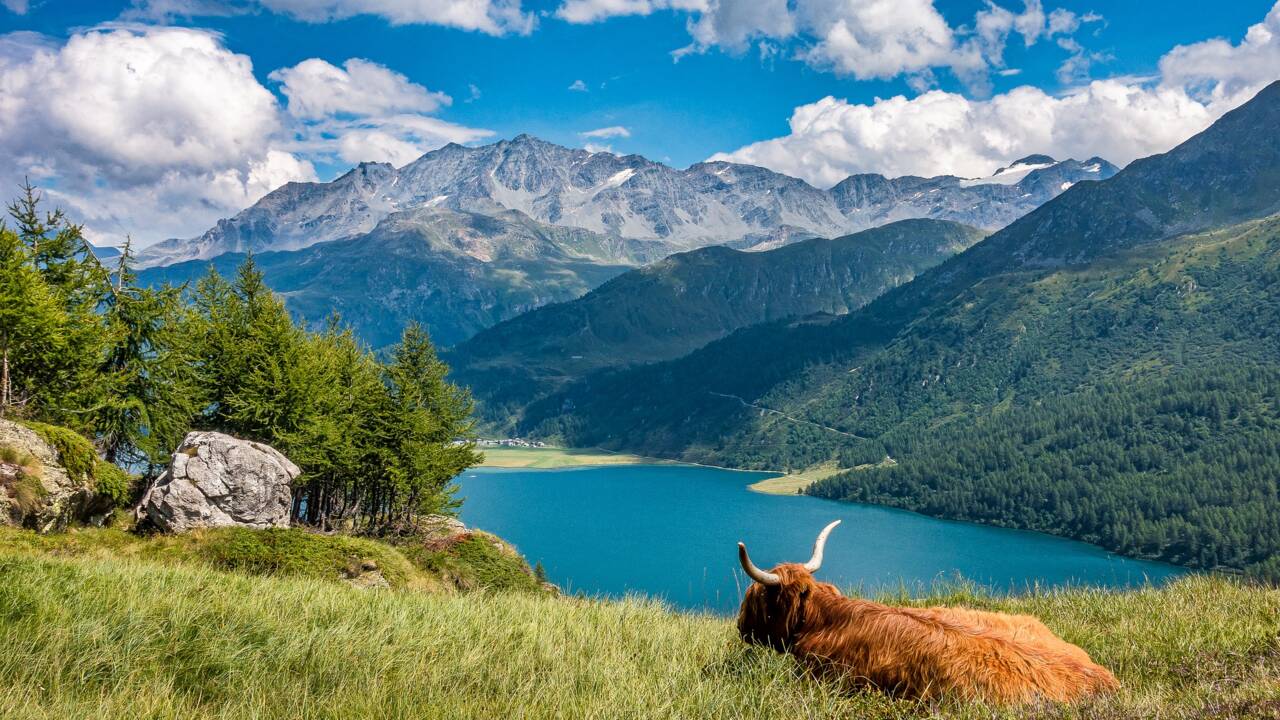 Réchauffement climatique : 1 200 lacs sont apparus dans les Alpes suisses
