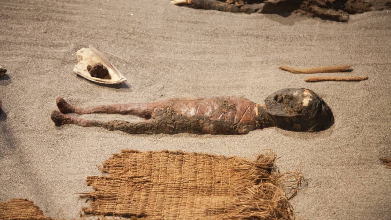    Chili : les momies Chinchorro, les plus anciennes du monde, classées au Patrimoine mondial de l'Unesco
