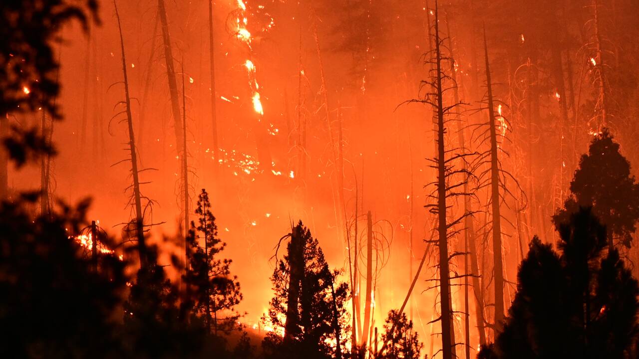 "Terrible preuve" : un documentaire explore les responsabilités humaines derrière les feux en Californie