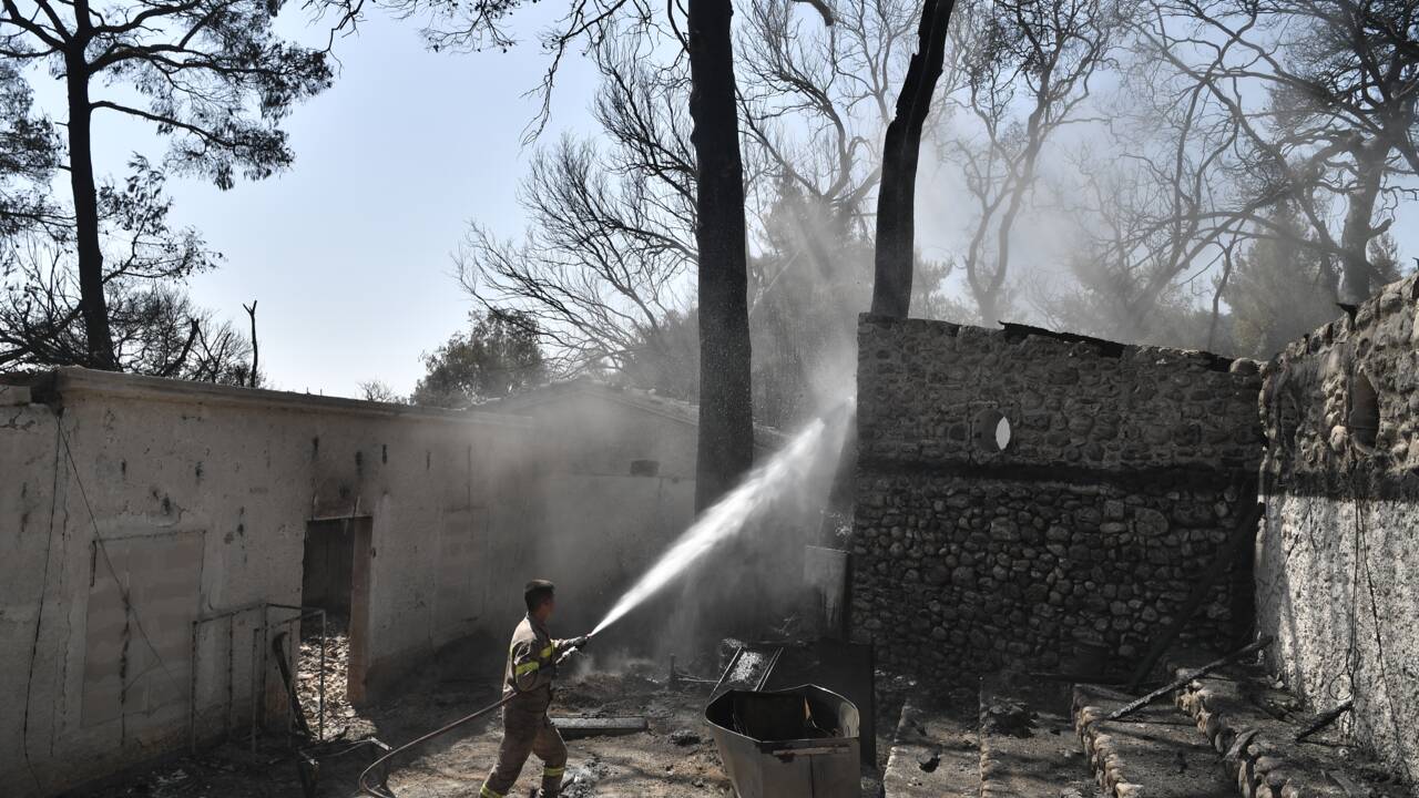"La catastrophe est immense": l'incendie dans le Péloponnèse en passe d'être maîtrisé, nouveau feu à Rhodes