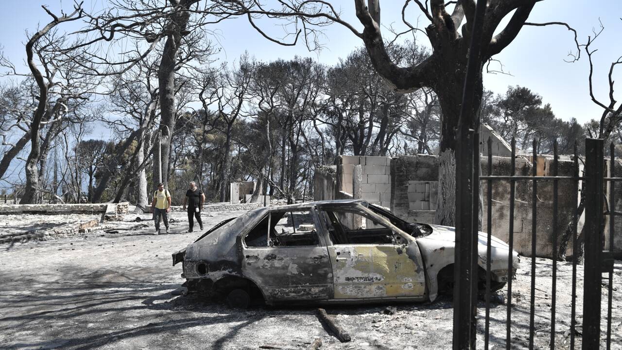 "La catastrophe est immense": l'incendie dans le Péloponnèse en passe d'être maîtrisé, nouveau feu à Rhodes