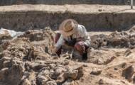 Paleontologist and archaeologist: the differences between these two professions