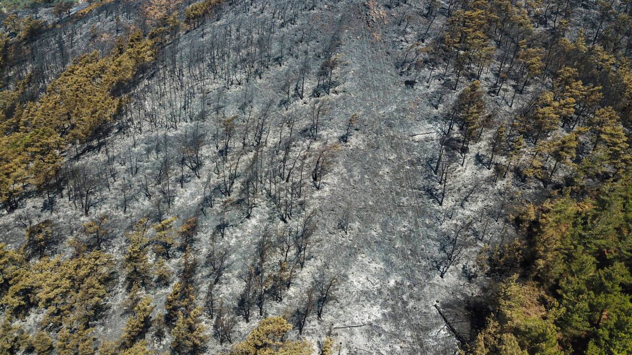 Incendies en Turquie : une centrale thermique menacée, les évacuations continuent