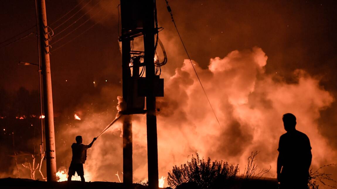 Incendies en Grèce : les pompiers tentent de maîtriser un feu important près d'Athènes