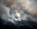 En Sibérie, le changement climatique déchaîne les feux de forêts