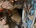 Une cache nazie remplie d'objets retrouvée 76 ans après dans une maison en Allemagne 