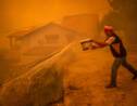 Les incendies en Grèce révèlent des "défaillances" dans la prévention des feux