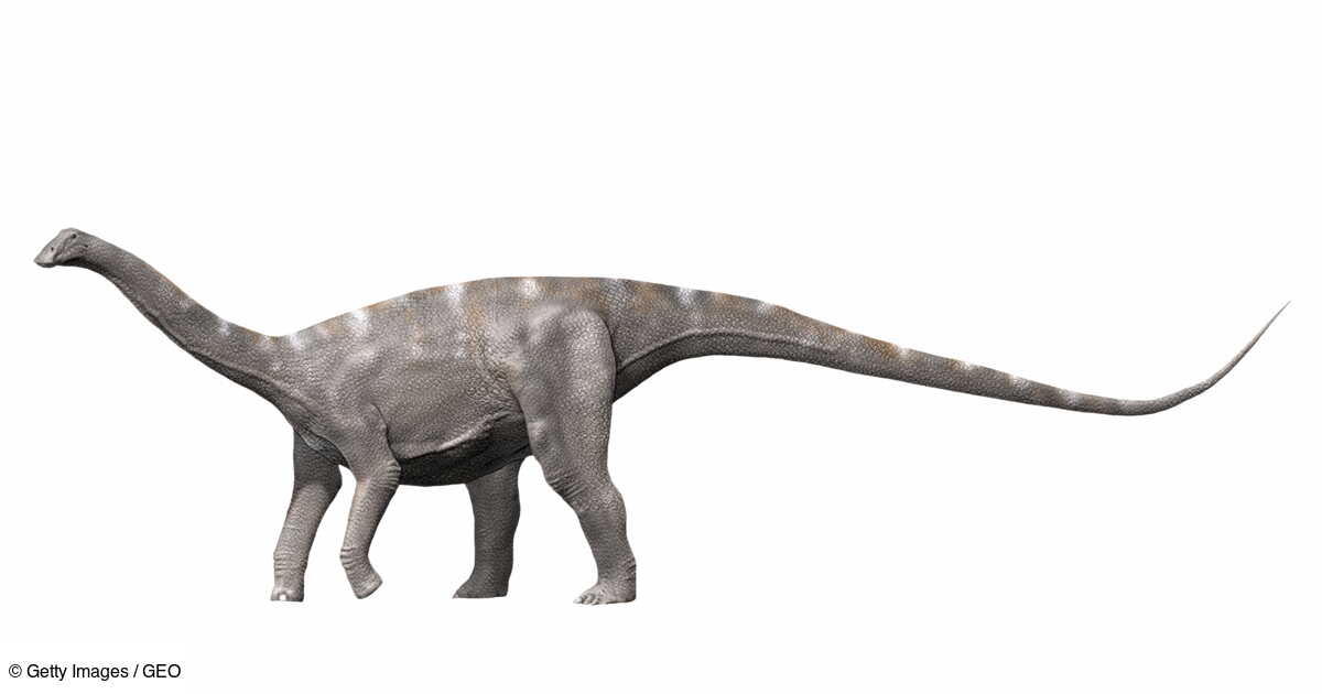 Nigersaurus taqueti qui était le dinosaure aux 500 dents ? Geo.fr