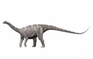 Nigersaurus taqueti: chi è il dinosauro dai 500 denti?