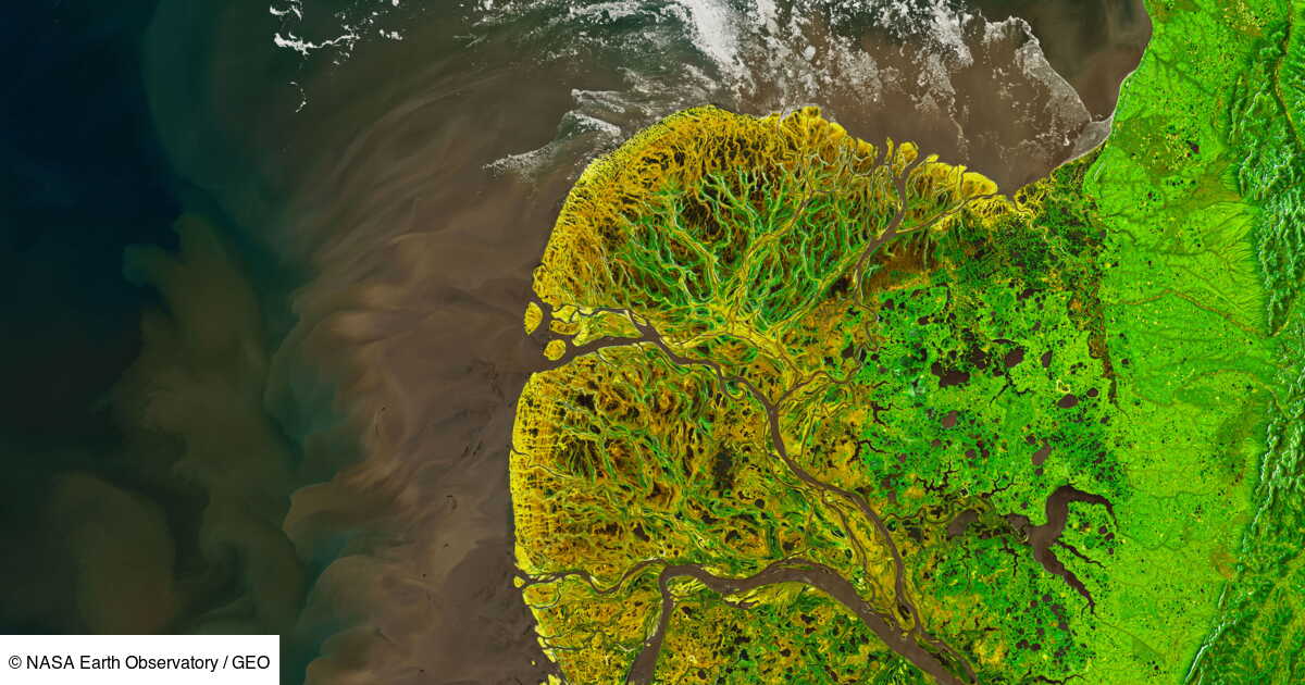 La Terre vue de l'espace votez pour les plus belles